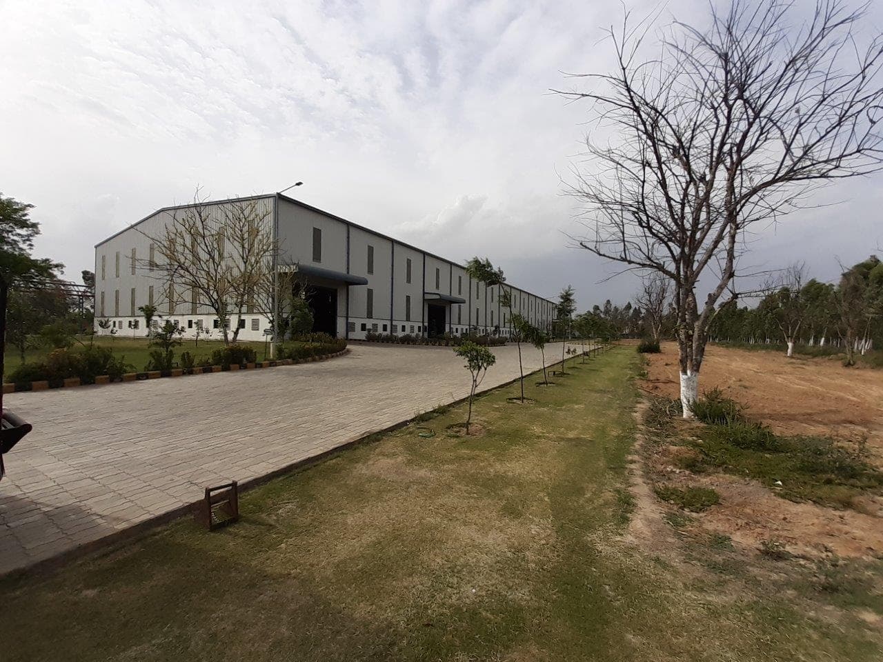 Dappar Plant